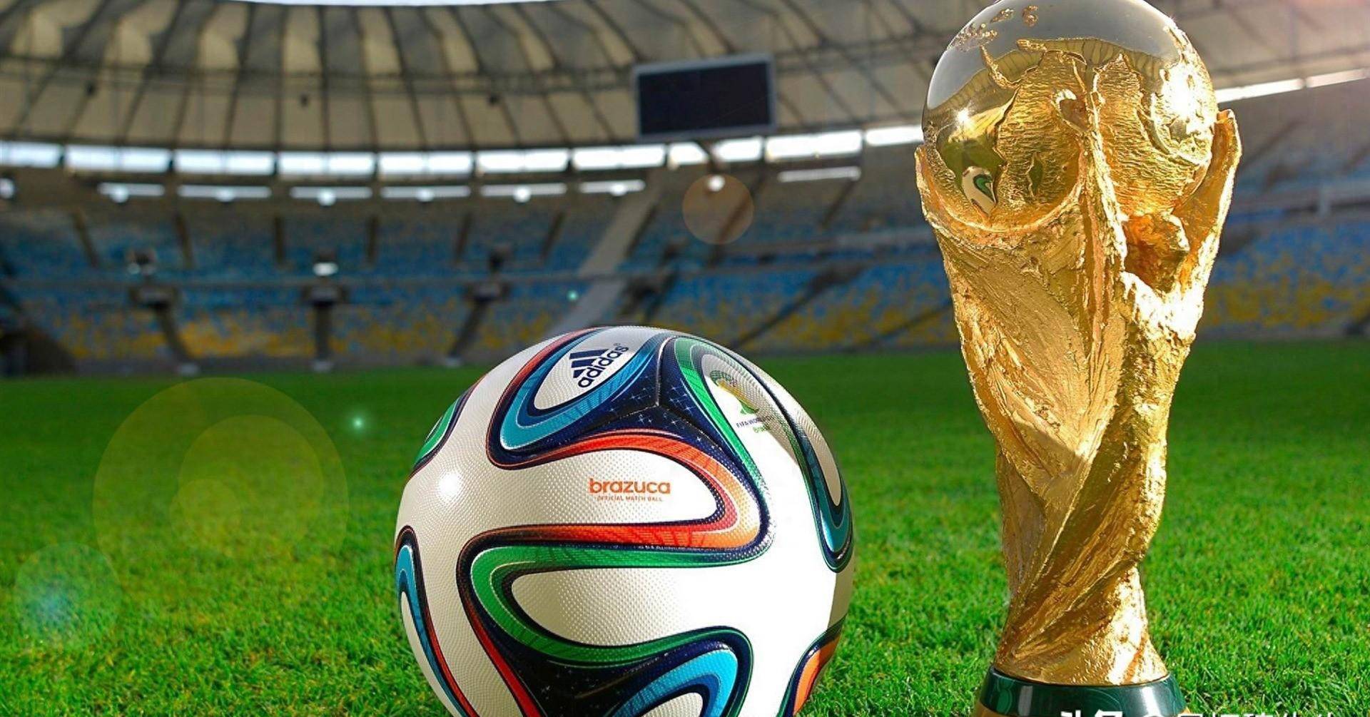 他也积极参 他也积极参